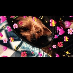 Meet your Posher, Raven